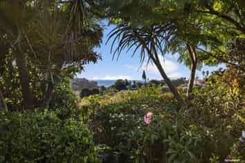 3 Rakau Views, Orewa