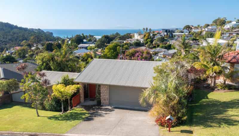 3 Rakau Views, Orewa
