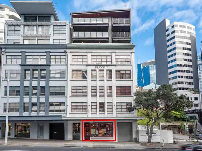 AFFORDABLE AUCKLAND CBD INVESTMENT
