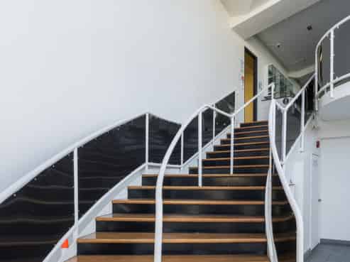 A Front Row Seat to Tauranga's Transformation