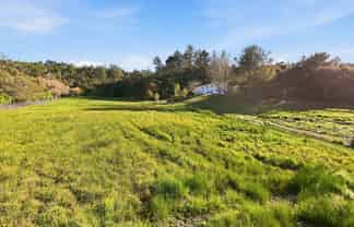 65 Haigh Access Road, Dairy Flat