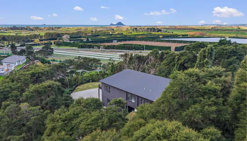 3 Kereru Lane, Matata
