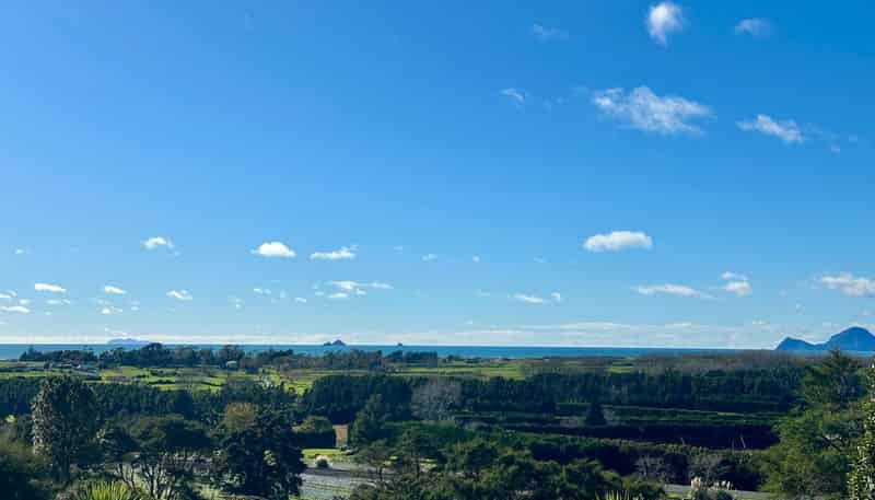 3 Kereru Lane, Matata