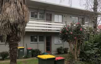 8/4 Kitchener Street, Claudelands
