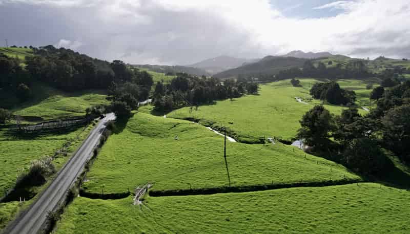 Lot 1, 111 Paradise Road, Tangiteroria