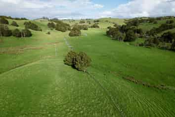 Lot 1, 111 Paradise Road, Tangiteroria