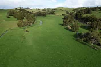 Lot 1, 111 Paradise Road, Tangiteroria