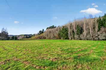 . Blackhill Road, Tinui Valley