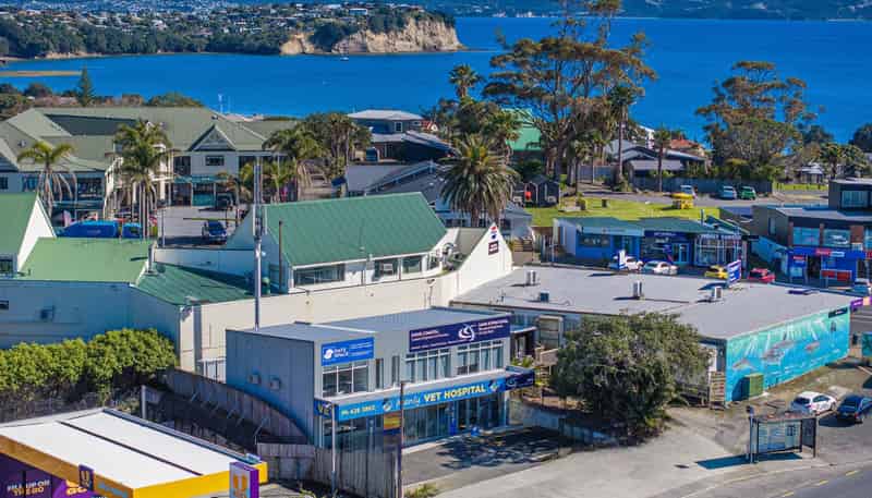 C/938 Whangaparaoa Road, Manly