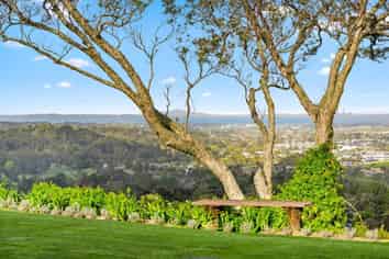 11 Puketaha, Swanson