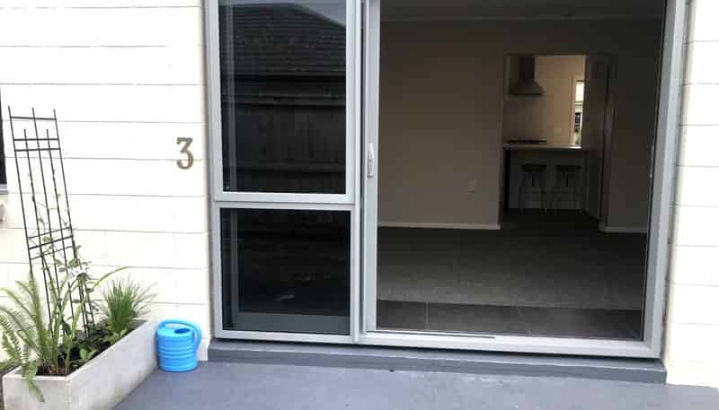 3/103 Nixon Street, Hamilton East
