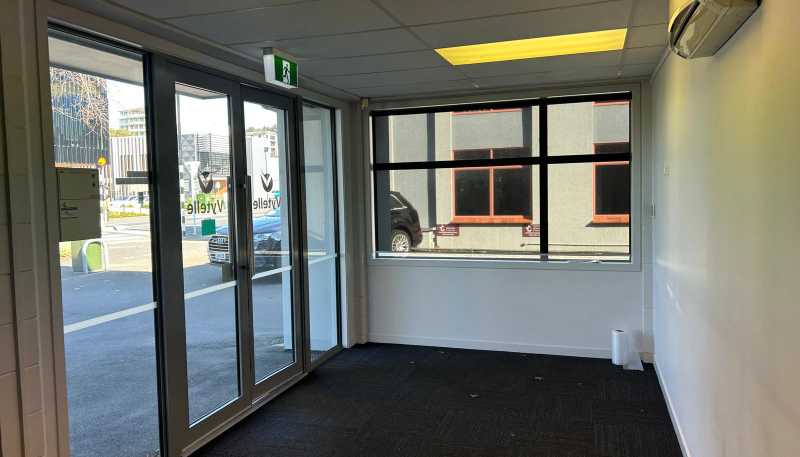 103 Tristram Street, Hamilton Lake