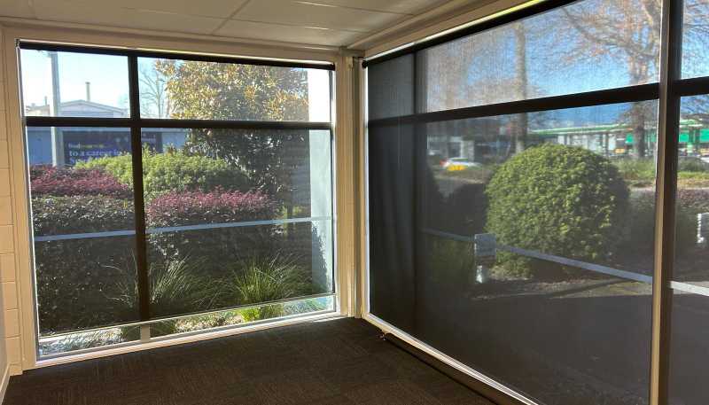 103 Tristram Street, Hamilton Lake