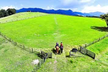 1524 Kirikopuni Valley Road, Dargaville