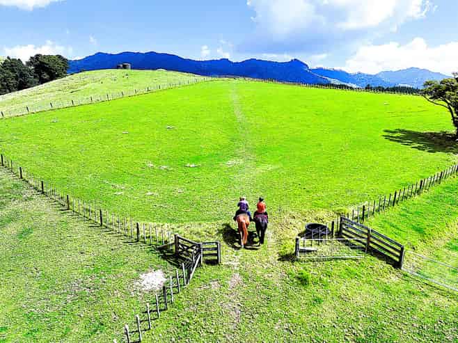 1524 Kirikopuni Valley Road, Dargaville