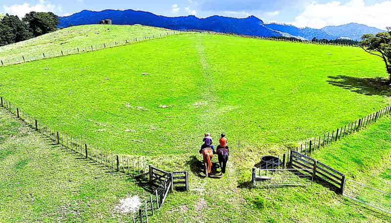 1524 Kirikopuni Valley Road, Dargaville