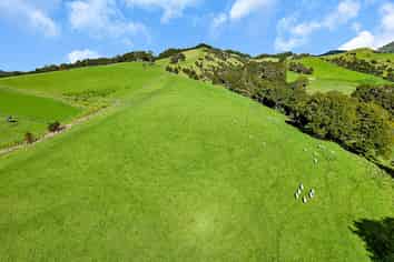 1524 Kirikopuni Valley Road, Dargaville