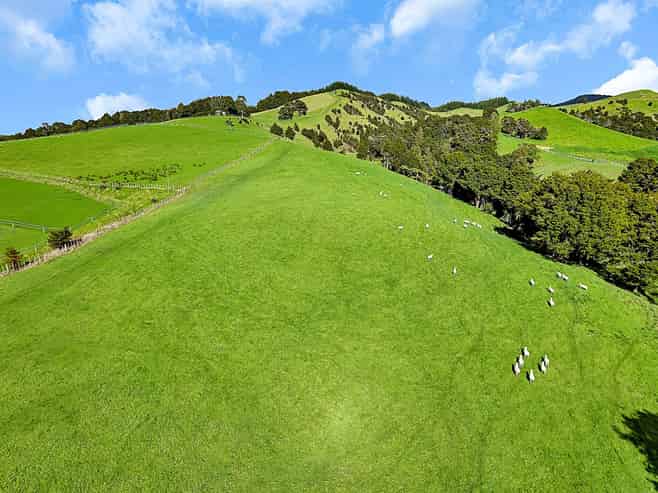 1524 Kirikopuni Valley Road, Dargaville