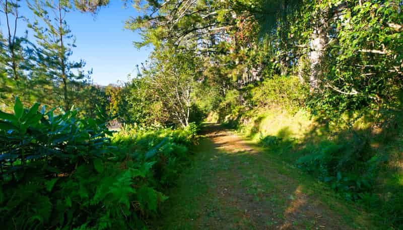 257A Whakamarama, Whakamarama