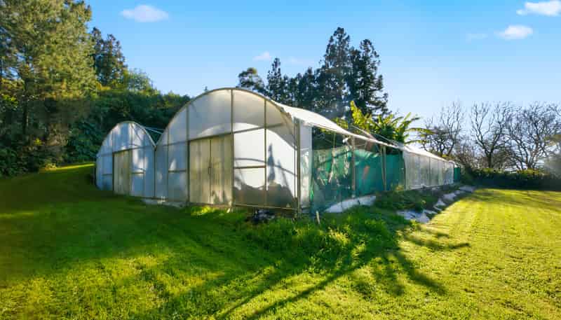 257A Whakamarama, Whakamarama