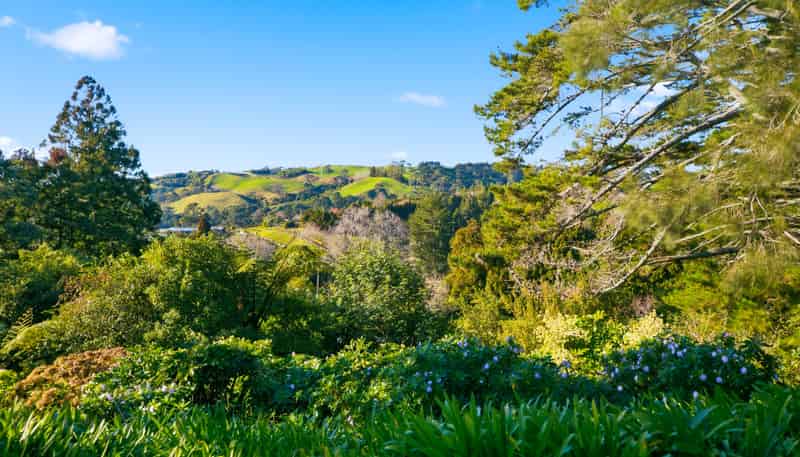 257A Whakamarama, Whakamarama