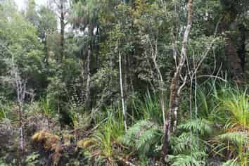 Lot 74 Sanctuary Place, Kumara Junction