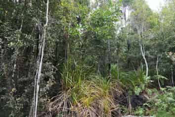 Lot 74 Sanctuary Place, Kumara Junction