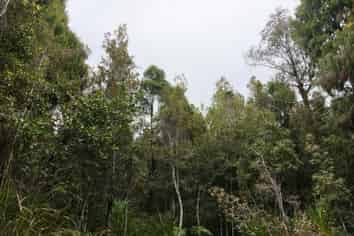 Lot 74 Sanctuary Place, Kumara Junction