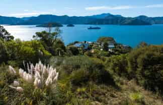 318 Port Underwood Road, Whatamango Bay