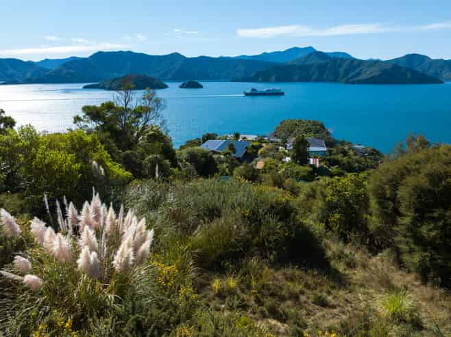 318 Port Underwood Road, Whatamango Bay