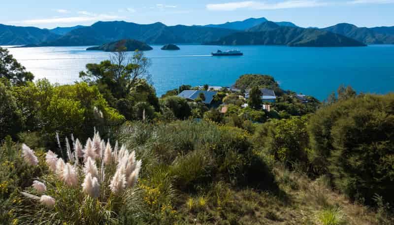 318 Port Underwood Road, Waikawa