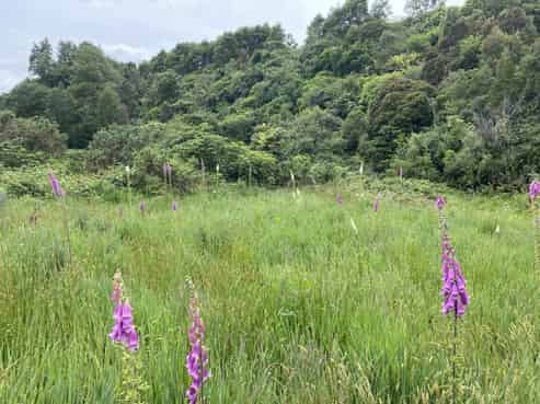  Upper Buller Gorge Road, Inangahua, Reefton
