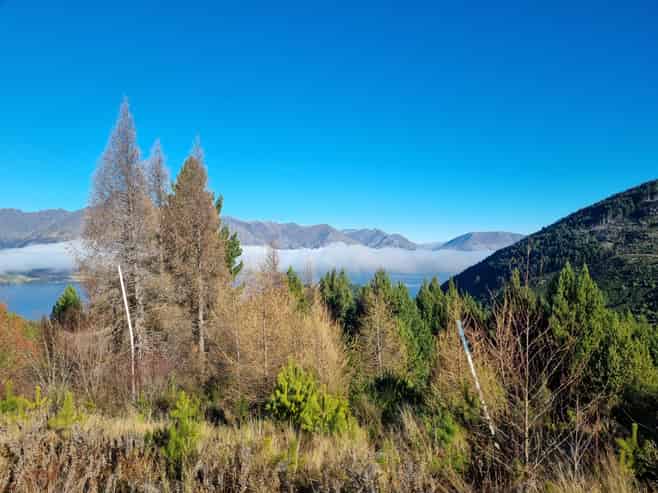 103 Alpine Retreat Road, Queenstown