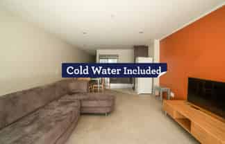 307/47 Hobson Street, Auckland Central