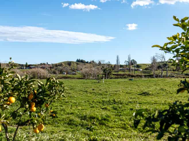 25 Lerwick Lane, Waimana