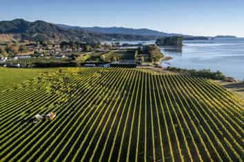 146 Lodder Lane Riwaka, Motueka