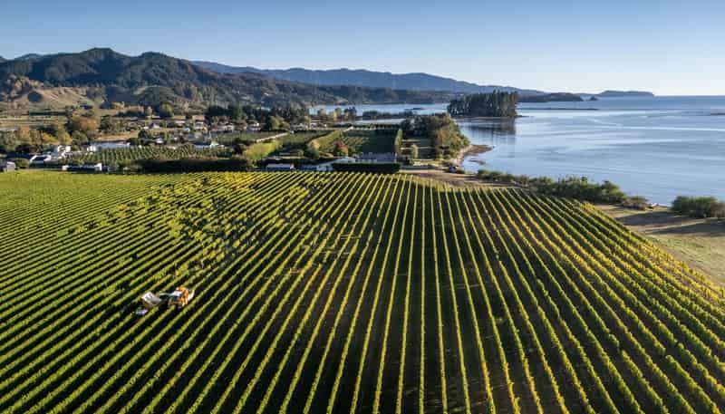 146 Lodder Lane Riwaka, Motueka