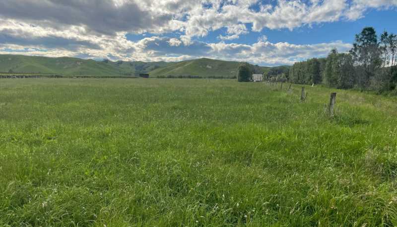 174 Moteo Pa Road, Puketapu