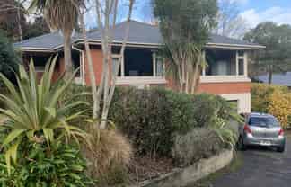 16 Craigleith Street, North East Valley