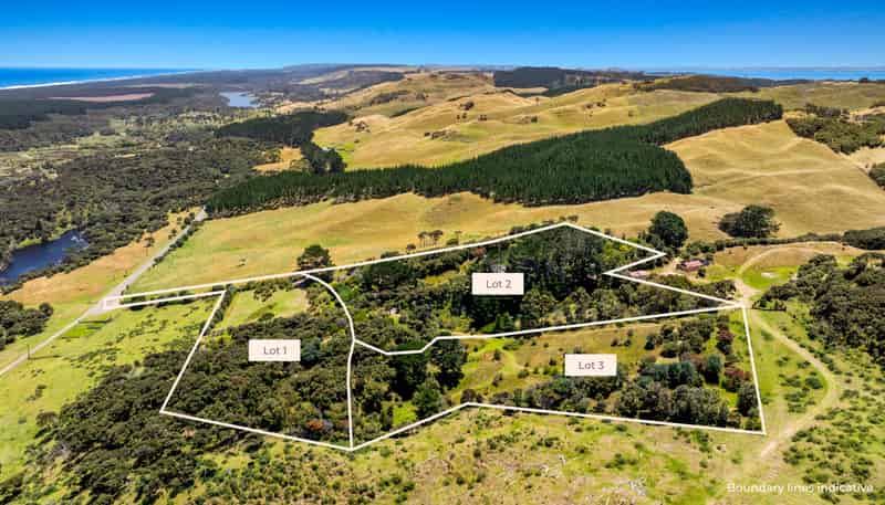 789 Wilson Road, South Head, Helensville