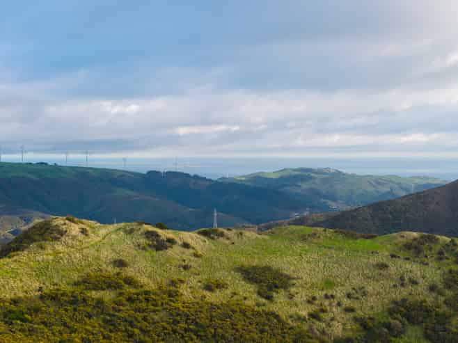 32 Alanbrooke Place & 71 Cornford Street, Karori
