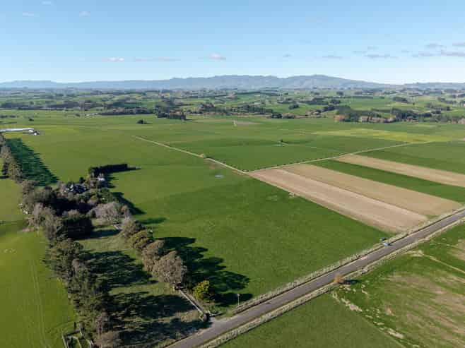 325 Reid Line East, Bunnythorpe