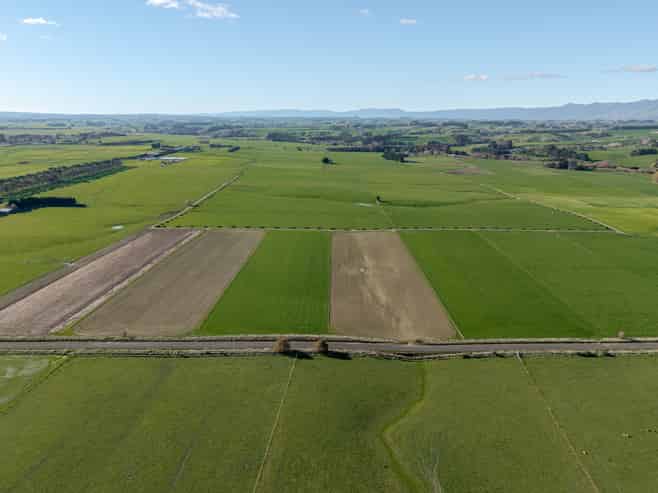 325 Reid Line East, Bunnythorpe