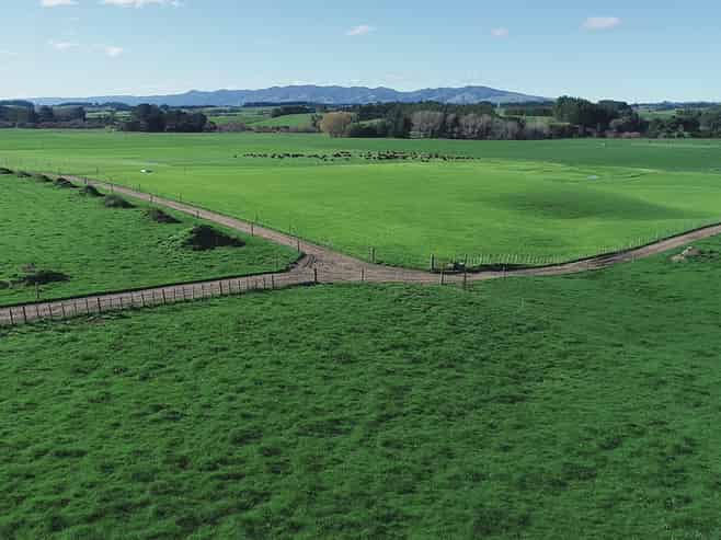 325 Reid Line East, Bunnythorpe