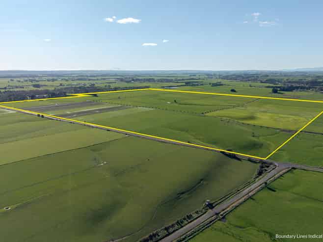 325 Reid Line East, Bunnythorpe