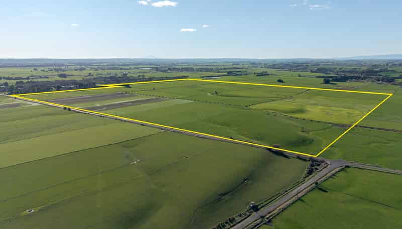 325 Reid Line East, Bunnythorpe
