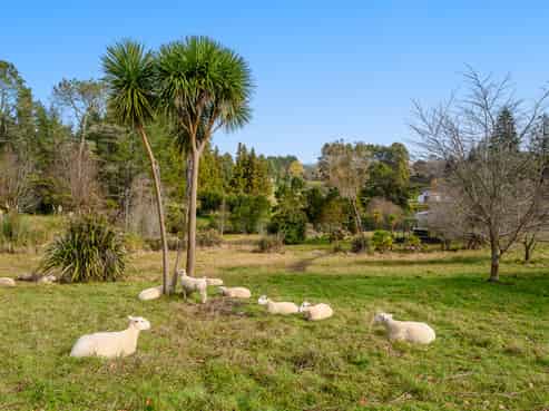 84 Tebbutt Road, Lower Kaimai