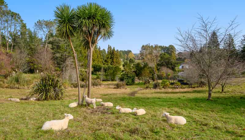 84 Tebbutt Road, Lower Kaimai