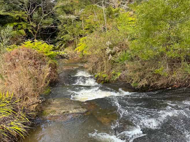 84 Tebbutt Road, Lower Kaimai