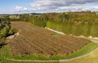 193 Maungarangi Road, Paengaroa